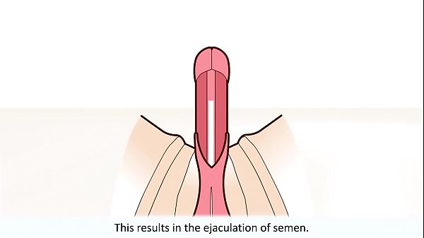 How to use male masturbator